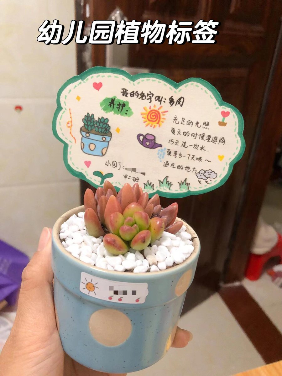 syw6252's tweet photo. Easy green tip for new plant parents: Water your pothos only when the top 2 inches of soil feel dry—no overwatering, no stress! https://t.co/Kpfgx5AH4S