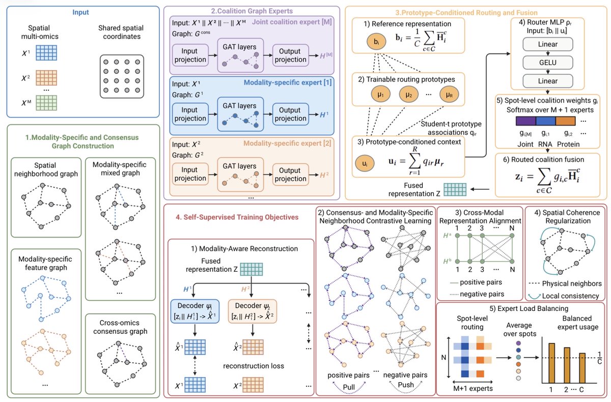 razoralign's tweet photo. GatorPrism: Prototype-Conditioned Routing across Coalition Graph Experts for Spatial Multi-Omics Integration https://t.co/y7AROkQ5iX https://t.co/fnuDC5jZqu