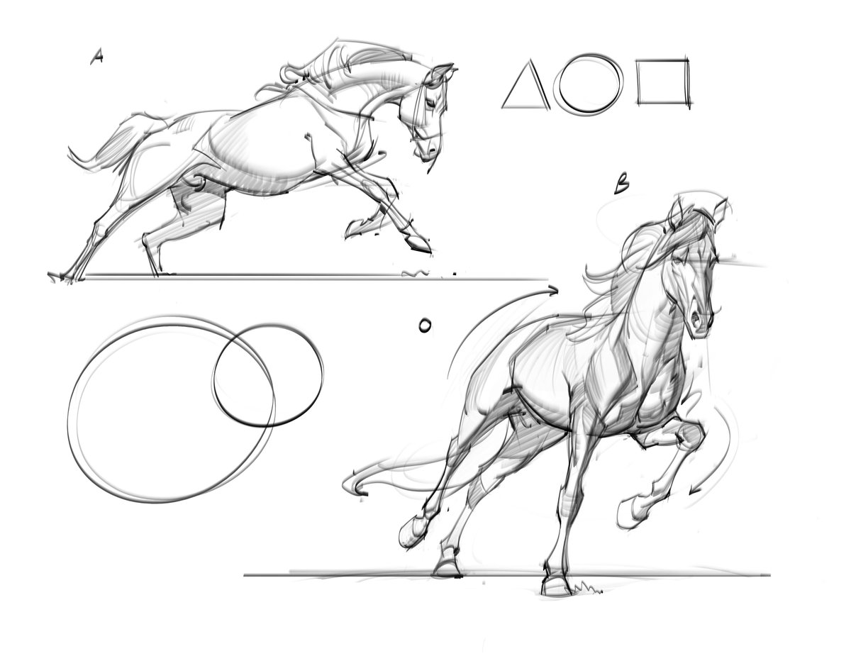 saqomolo's tweet photo. Evening horse gestures! #gesturedrawing #animalanatomy #horses #stallions #mammals #gottogetbetter #lineart #drawing #sketching #doodles #galloping #arabianhorse https://t.co/wnI0Z4LzSJ