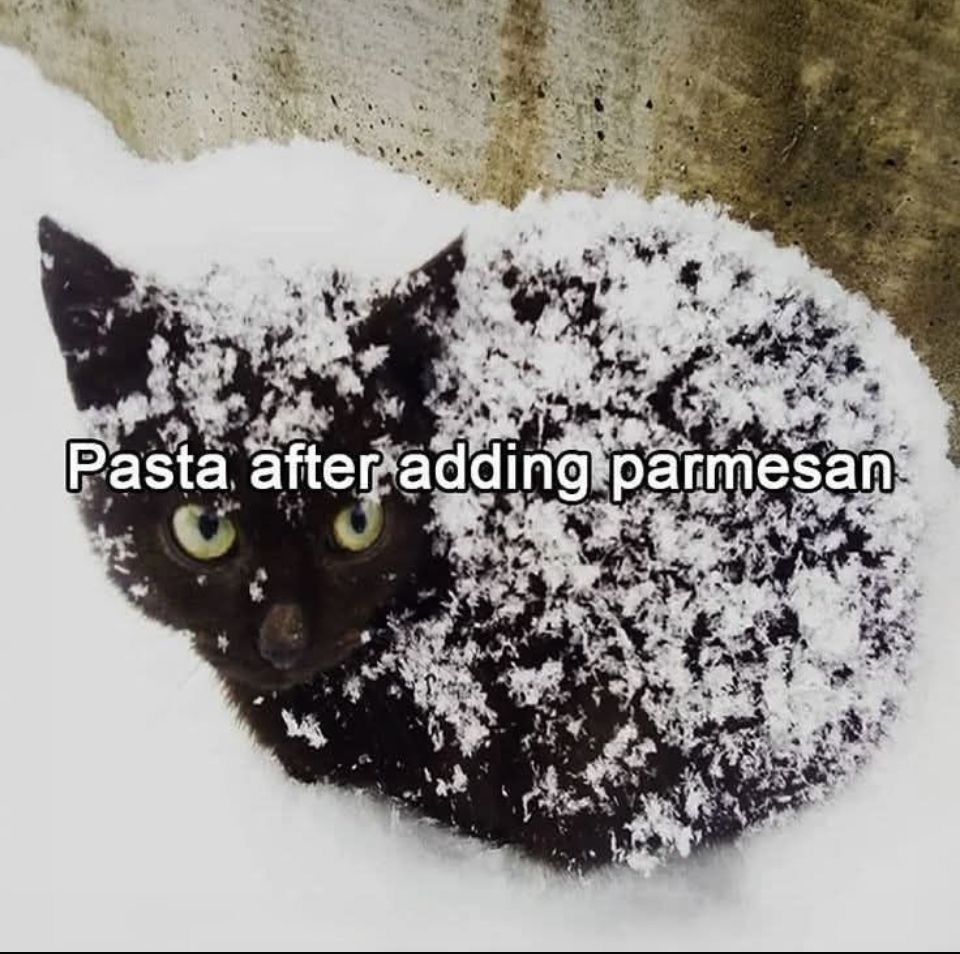 Cats_ooc's tweet photo. https://t.co/9qjdNunlia
