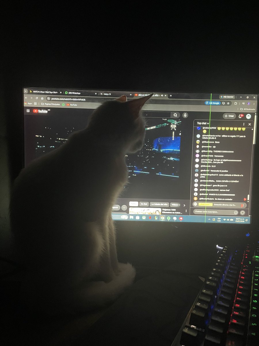 Meowcinヅ ⋆｡ﾟ☁︎｡ tweet media