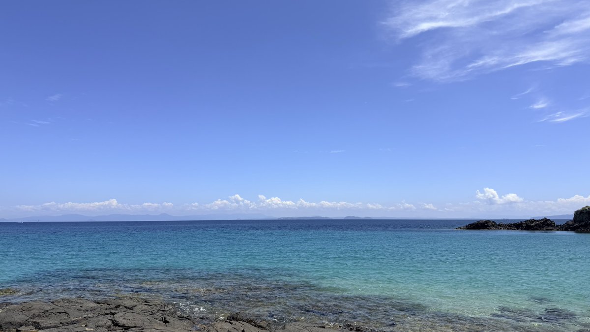 mochimo_qz's tweet photo. まぁこんな日もありますわな https://t.co/vj0GqM7rsL