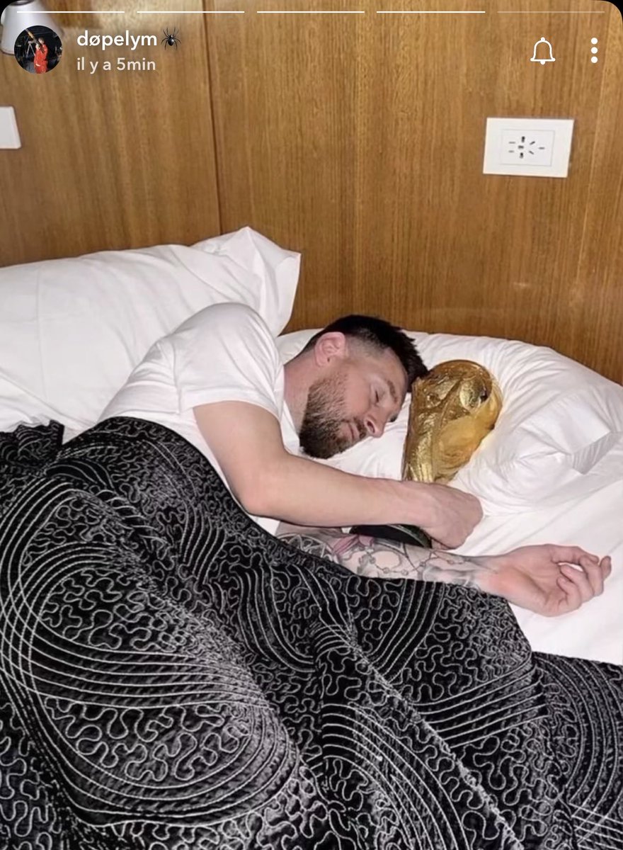 rapking634's tweet photo. 🚨BOOM| Dopelym recrée la photo emblématique de Lionel Messi lors de la Coupe du monde 2022 avec ses certifications ! ￼ https://t.co/DnkDuN3I5u
