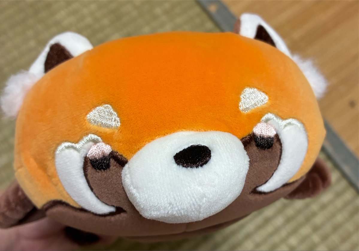 ki_no_lo's tweet photo. とてもマギー君に似ているぬいぐるみを見つけた。可愛い。 https://t.co/W4EAp7ipw3