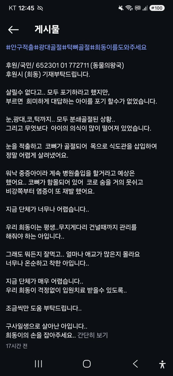 animalrtaccount's tweet photo. 눈,광대,코,턱 모두 뼈가 분쇄된 고양이
희동. 병원비가 많이 든데요
국민 652301 01 772711 https://t.co/n2FSvJAfml
