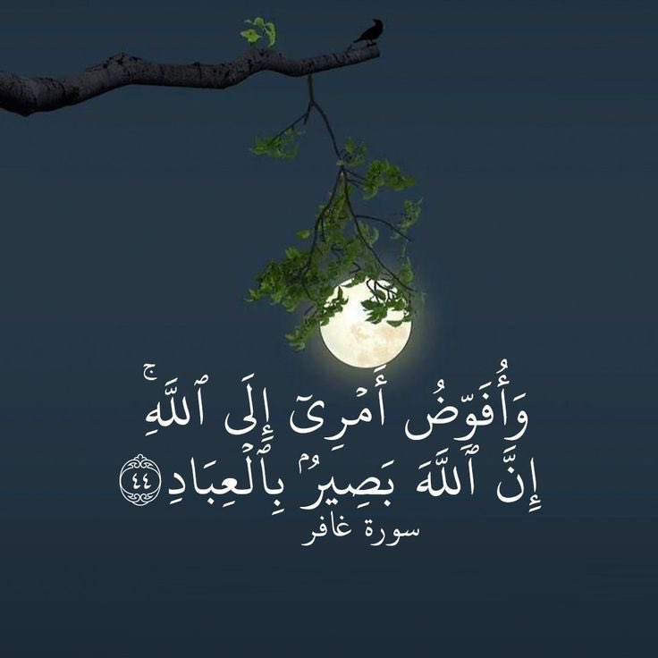 AdelAliBinAli's tweet photo. إِنَّ اللَّهَ بَصِيرٌ بِالْعِبَادِ🤍 https://t.co/oD4uvUMMqZ