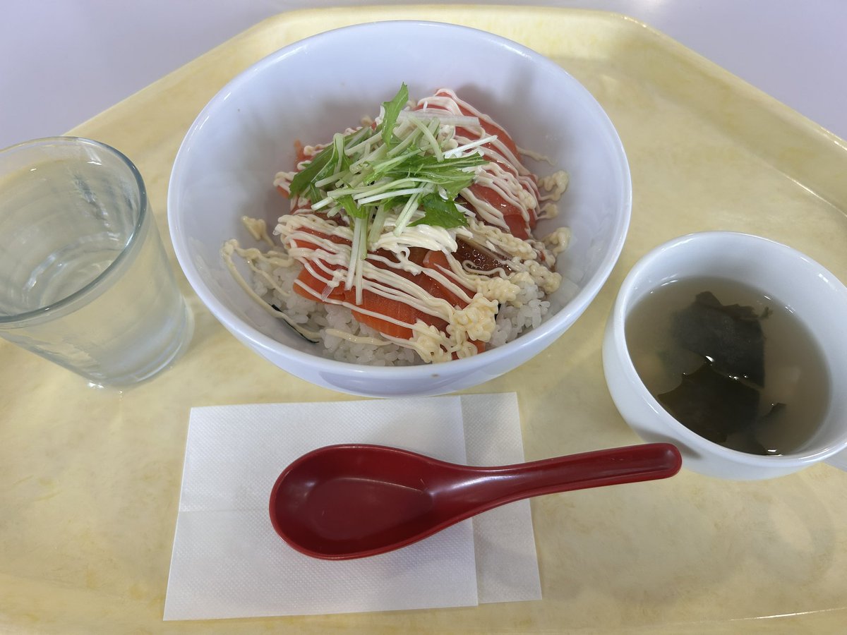KAITwatch's tweet photo. K1号館12階カフェテリアではおいしい学食体験ができます!!
私はサーモン丼を食べました!おいしかったです!
#神奈川工科大学
#KAIT
#オープンキャンパス https://t.co/W1EJoIHKMu