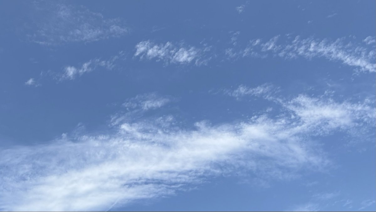 juunin_toiro39's tweet photo. おはようございます！
昨日も一日寝てた。
なかなか疲れが取れへんけどごはんは食べれてるから大丈夫👍
今日も朝から暑いな💦 https://t.co/EDcHMJrw1P
