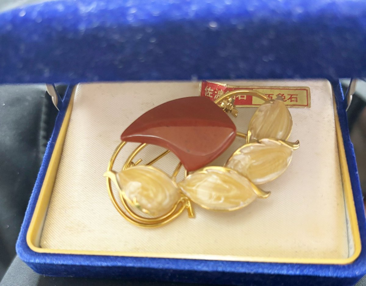 939naaa's tweet photo. 実家で別の探し物をしていたらその昔おばあちゃんから頂いていた佐渡の赤玉石と五色石のアクセサリー発掘したので持ち帰っているところー！です！
1枚目のは値札もついているのですが目ん玉飛び出しました。イヤリングパーツ変えたいな！ブローチはまだちょっと私には大人っぽいデザインかも。でも素敵 https://t.co/T0q0kzEgoq