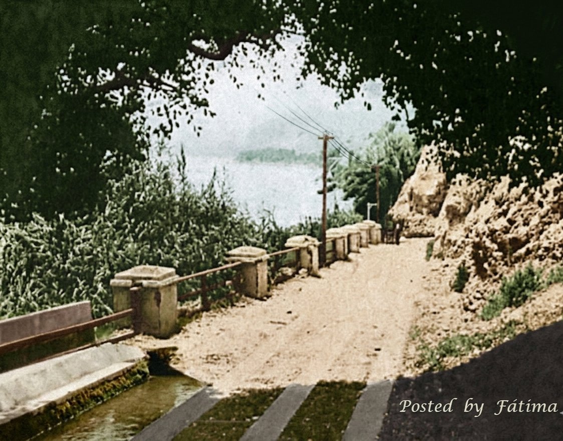 fatima_opart's tweet photo. La ruta para llegar a la playa de #Barranco por la bajada de los baños fue recién habilitada a principios del siglo XX, antes las personas debían caminar por el sendero de la calle #Sucre, cuya pendiente tenía pocos grados de inclinación.

https://t.co/Rs2vzzBY2H https://t.co/jKv60gQJfm