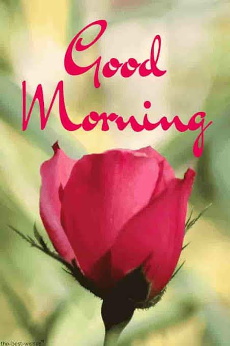PM_Narendhar's tweet photo. 🕉️ Shirdi SaiBaba Says 🕉️ Trust in the Guru fully. That is the only Sadhana: #SaiBaba #goodmorningindia Happy Baba's Day https://t.co/JKUTWXHJoA