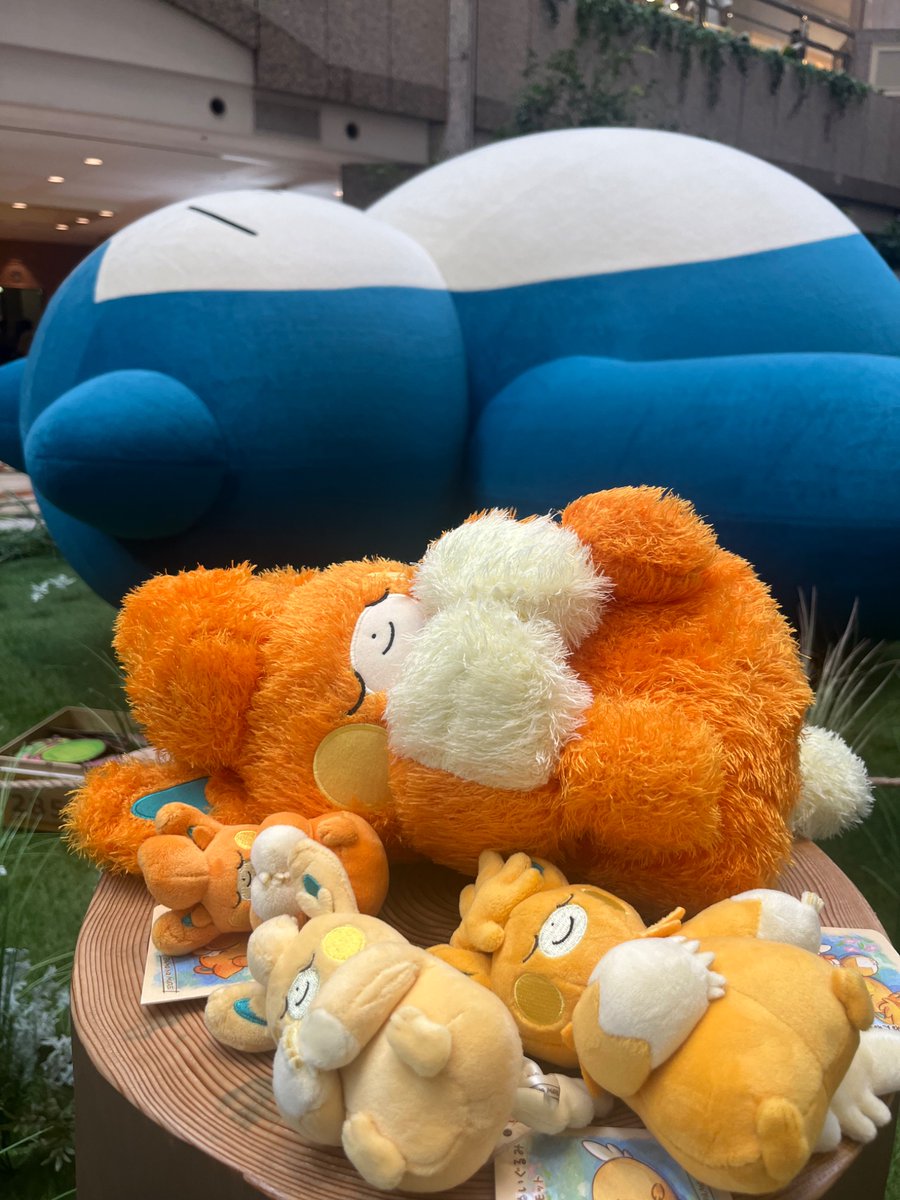 mimimio24's tweet photo. ぬい活する異常成人男性が爆誕してしまう難点はあるけど、
リアルイベントは楽しかった（ ᴖ.ᴖ ）
#ポケスリ3周年をみんなで https://t.co/hKp1awHcpl