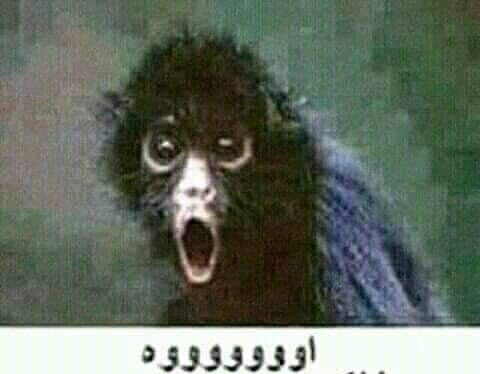 محمد | المخلَّل🥀 tweet media