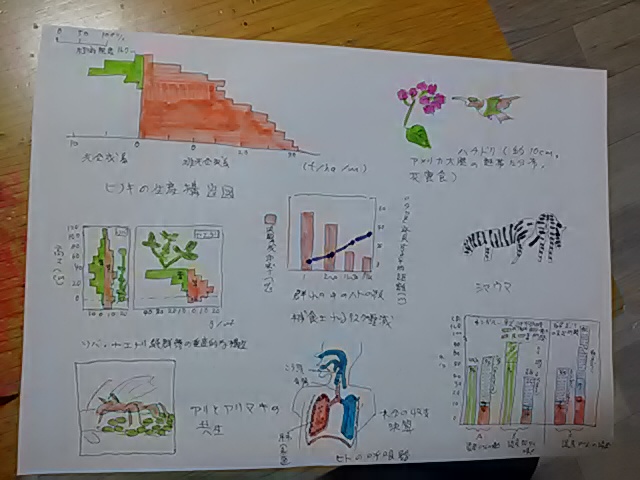 mannnennkunn's tweet photo. https://t.co/nJoPc2Gj2A