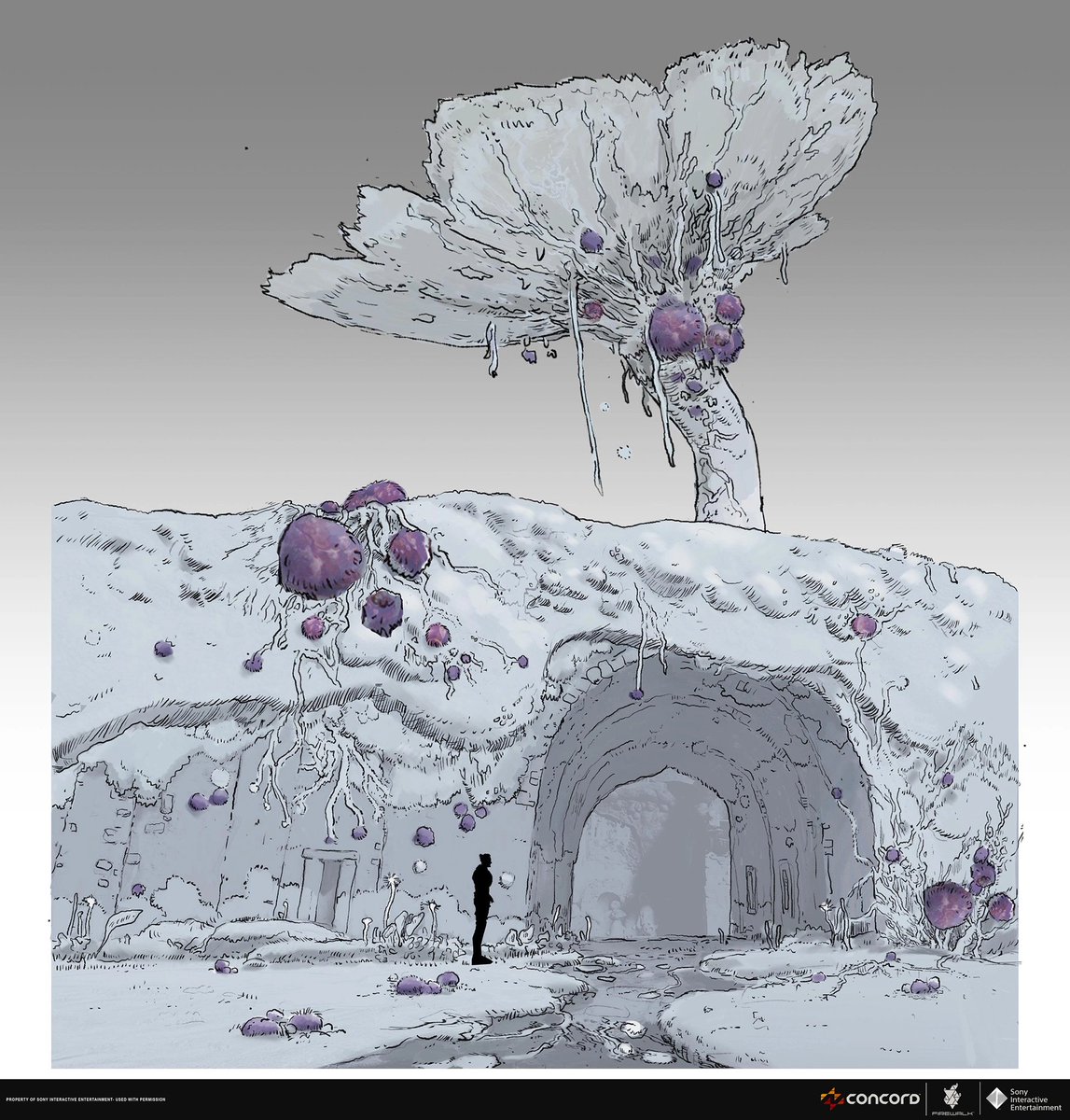 yapkr's tweet photo. Spores and more trees https://t.co/ds8gmwHygx