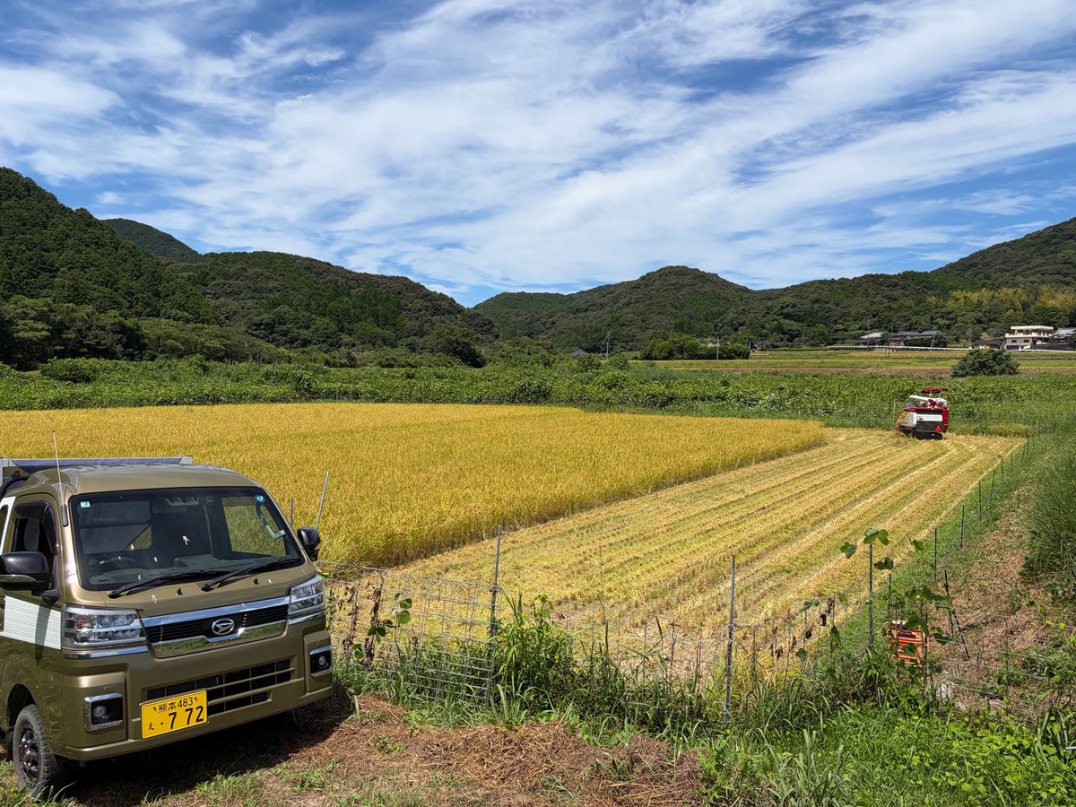 Ku6mi_4's tweet photo. 稲刈り🌾 https://t.co/L07L6chCi3
