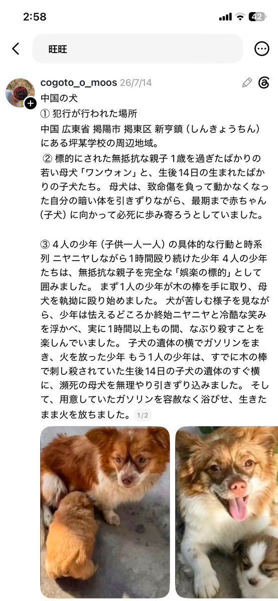 おかぴ おかぴ (@okap_xxx) / Posts / X
