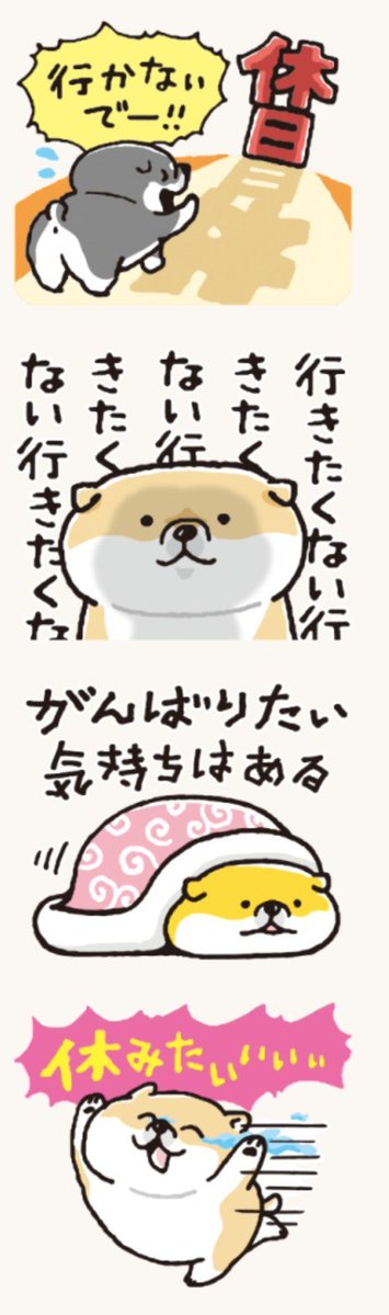 アイル tweet media