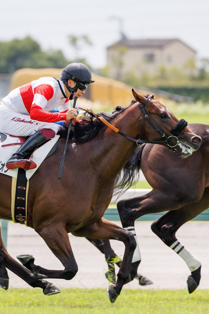 yu_kte's tweet photo. ダノンチャンピオン 横山武史騎手
2026.7.26 中京競馬場 2R 2歳新馬
デビューおめでとう https://t.co/wrunUnMVCK