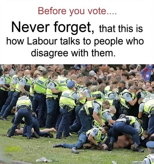 Trevor Hughes tweet media