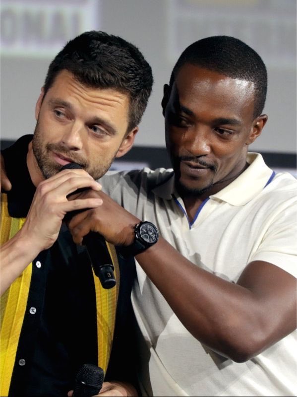 sambuckycomfort's tweet photo. Throwback to Anthony Mackie and Sebastian Stan announcing “The Falcon and the Winter Soldier” at SDCC 2019 ❤️ https://t.co/jQ52d4BQkC