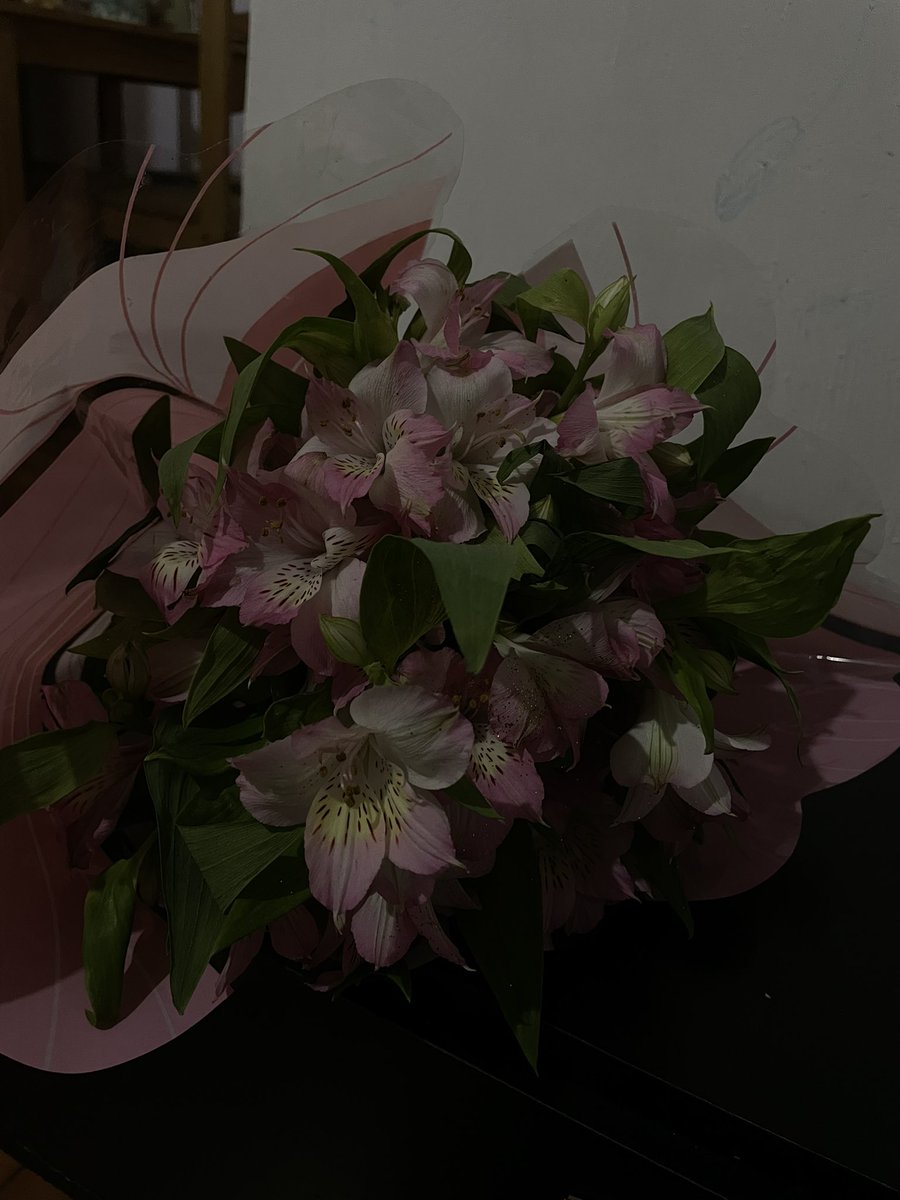 cam1nata's tweet photo. 💐 https://t.co/Tuhvihlqew