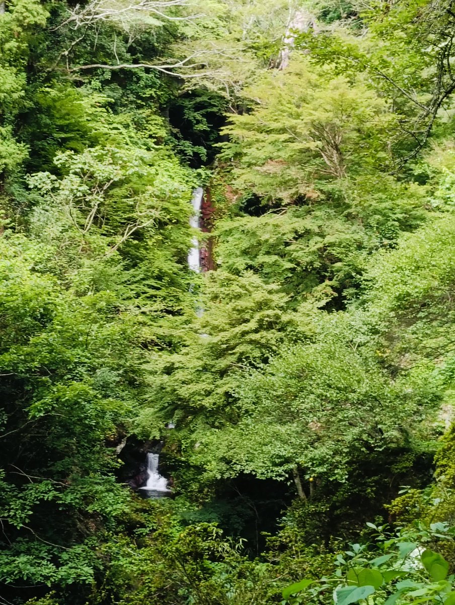 TakiChaya's tweet photo. ご来店ありがとうございます(*^^*)
秩父華厳の滝は、曇りのち雷雨、気温28℃、水量多め
⚠️普段は滝壺まで行けるのですが…倒木���為、滝壺へは通行止め🚧
🔼本日11～14時までの営業
🌟ソフトジェラート28種🍦
🍦コンポタ🆕
期間限定ドリンク🧋🍋
自家製麹甘酒、秩父願い石巡礼
🥤水分補給をお忘れなく🥒 https://t.co/H4cbLMPsJM