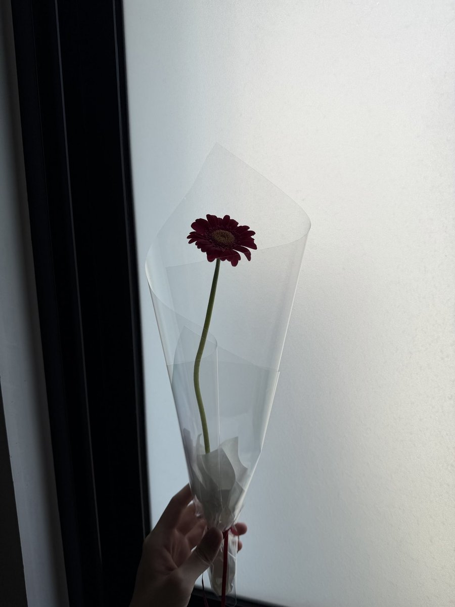 cconurleft's tweet photo. https://t.co/PJY01XLAH0