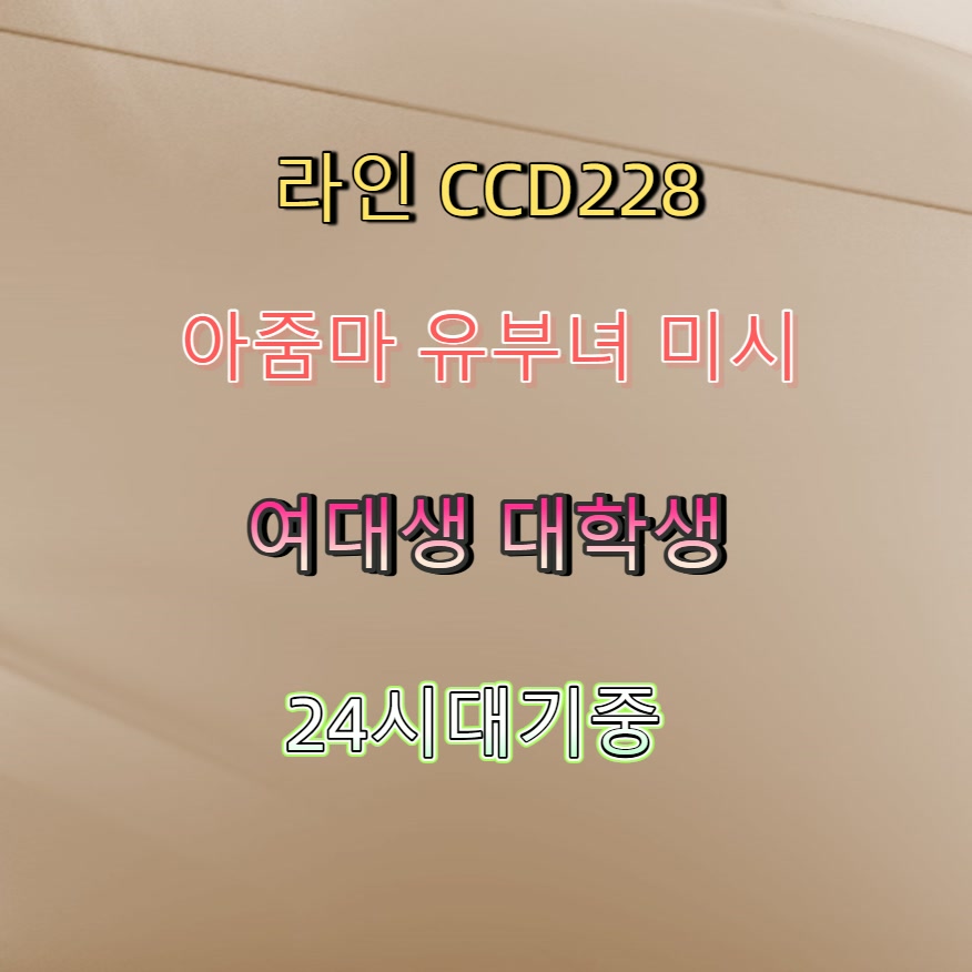 R6_Sparta's tweet photo. #영월 #ㅈㄱ #일탈 #영월조건 #영월조건만남 💯 https://t.co/RtPh2LHiQS