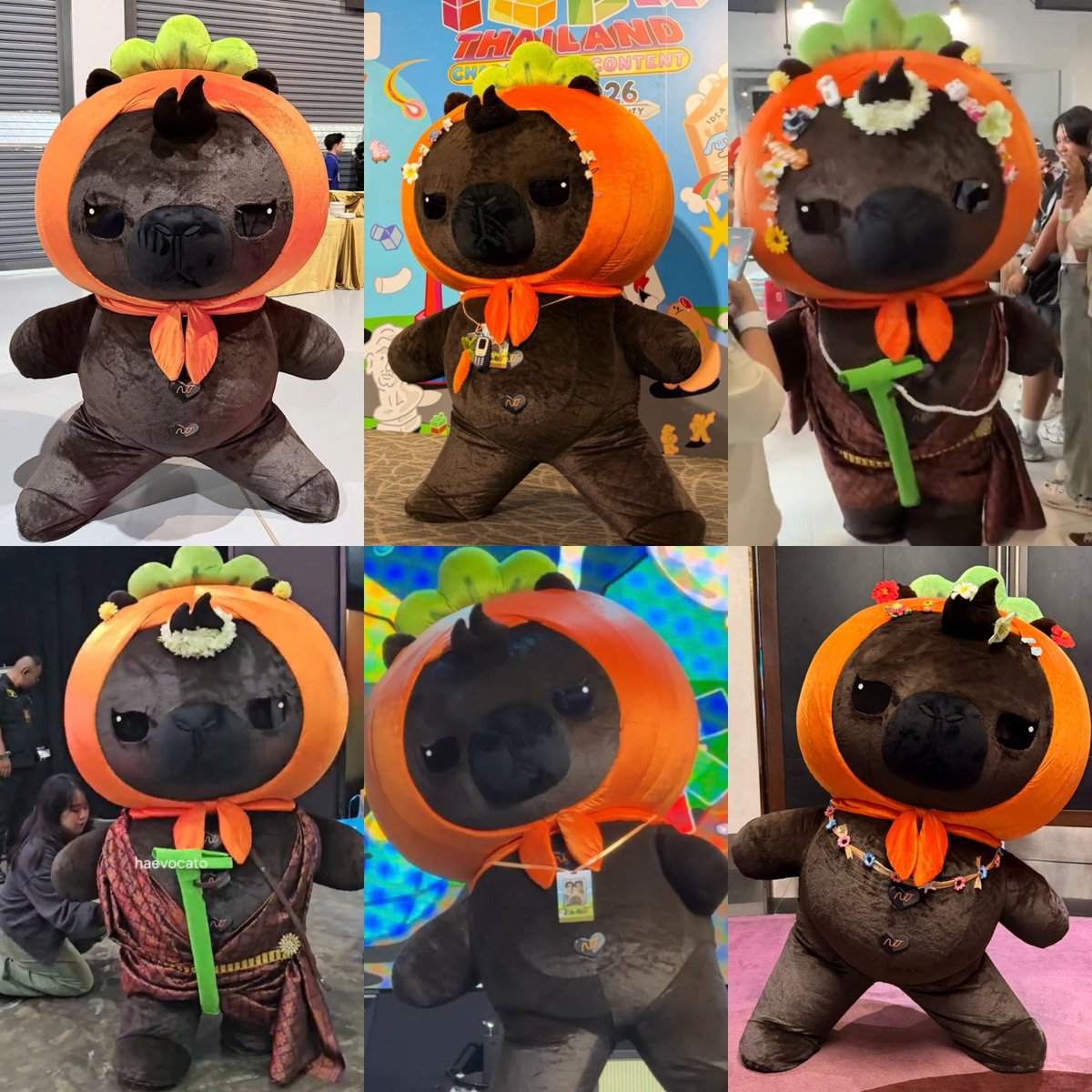 lovingnetjj's tweet photo. we have the cutest grandson ever😍💕 @JookKroo_DMD

#JookKroo #NETJJ https://t.co/AQG2K07HoM