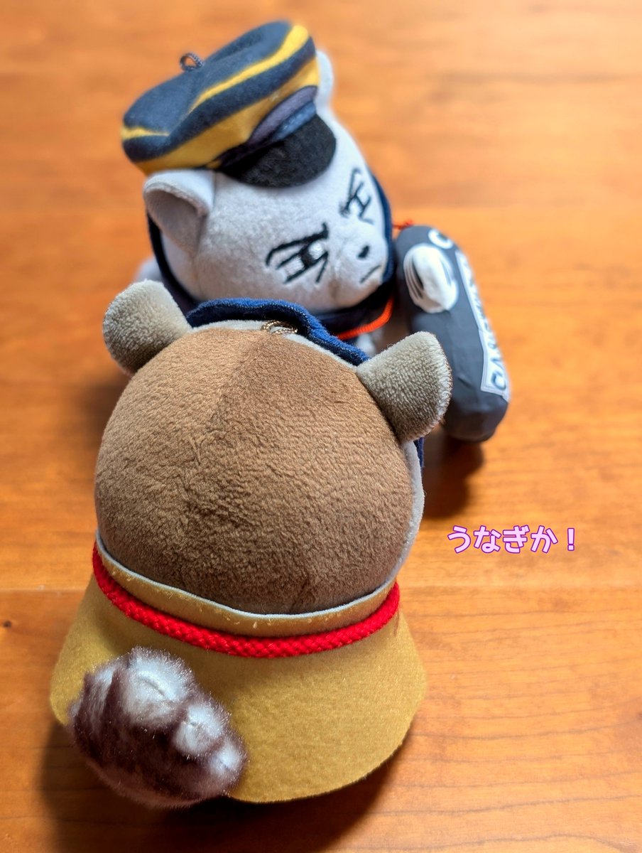 DuufA's tweet photo. 馬鹿すったれ！！ https://t.co/Gws8IUAlYF