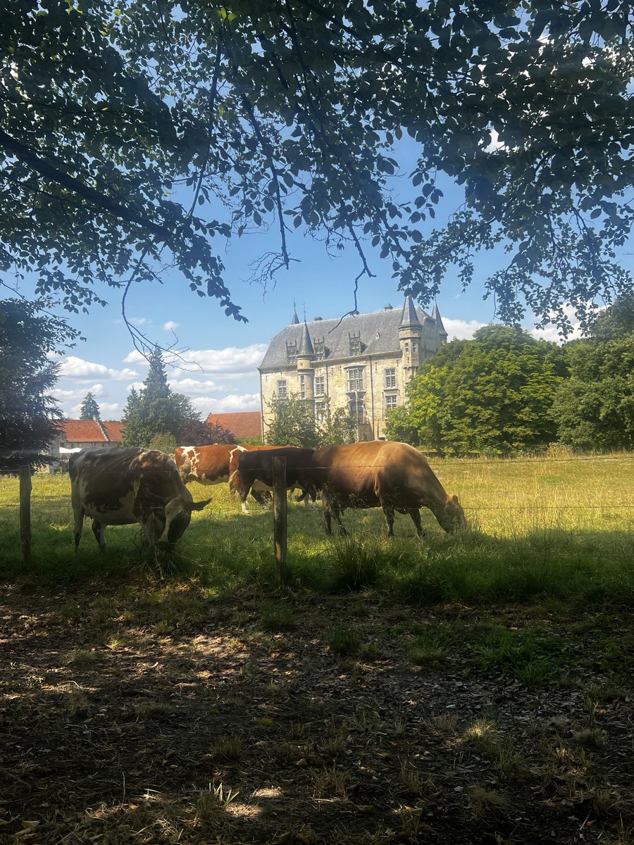Jolabama's tweet photo. Onderweg kom je van alles tegen… https://t.co/QzBXFvdTLG