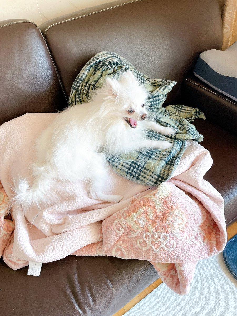 chundukku's tweet photo. 라을라 https://t.co/NImxTDW8TF