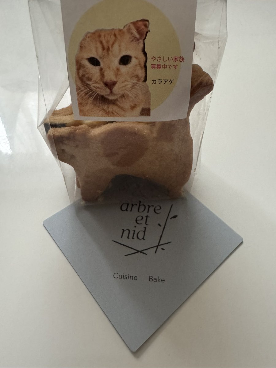 Y7tmG4's tweet photo. 別のお店のクッキーは、里親募集中のﾈｺﾁｬﾝの写真が貼ってありました😸

売上の一部が寄付されるとのことで、応援を込めてお買い上げ

みんな素敵なご縁がありますように！ https://t.co/Z2pIxM7wH7