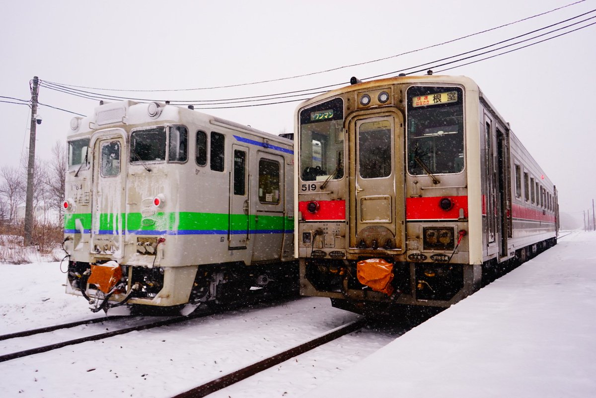 arinn155's tweet photo. にゃ😺
#暑すぎるので雪の画像で涼もう見た人もやる https://t.co/8nf4eSj2Bt