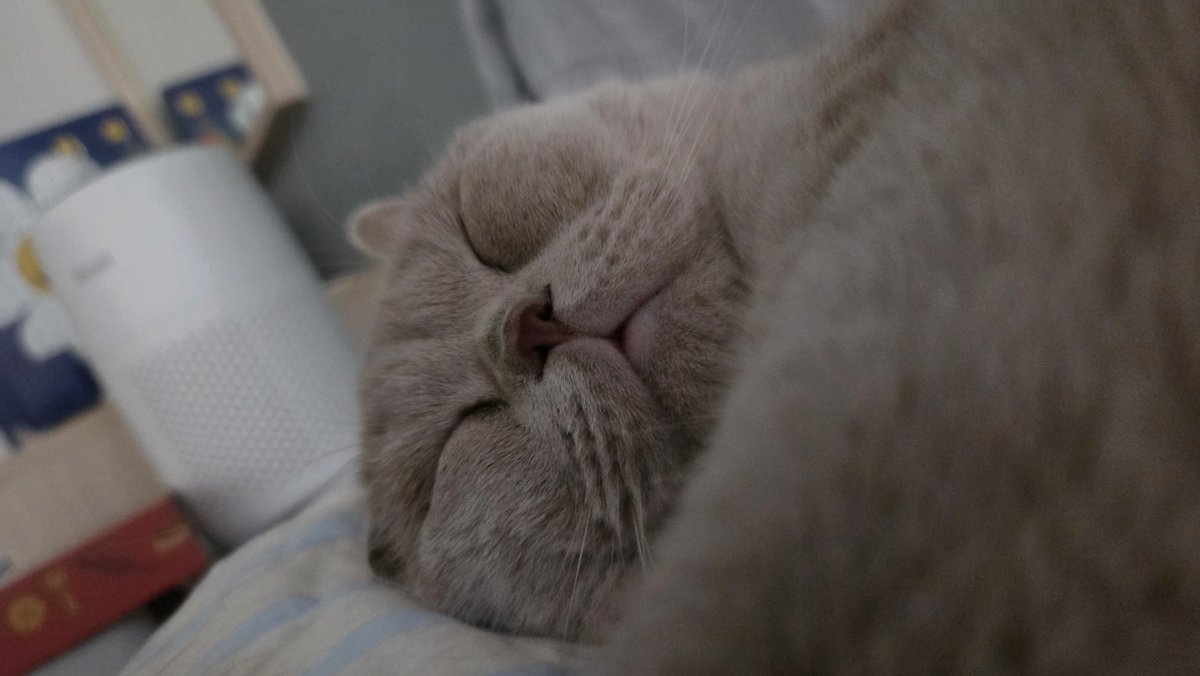 GogiSpace's tweet photo. Relax time😴 https://t.co/P6FK1Gpf5t