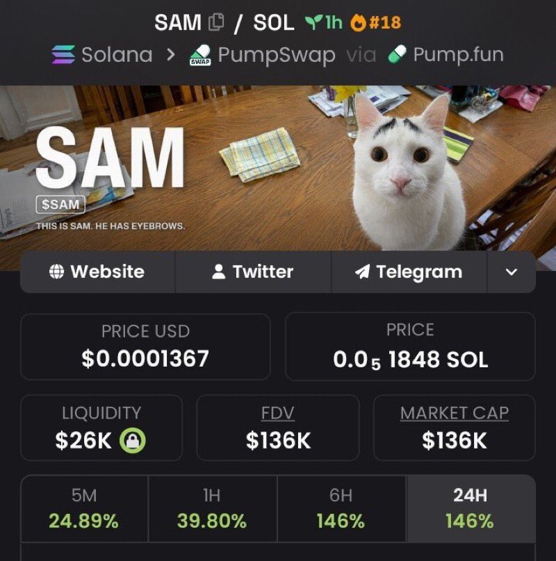 Maximveorge's tweet photo. 💎Token : $SAM    
📈Entry: $5k
📊Peak: $136k
🚀Gain: 27.2x Profit 

It was dropped early on my TG. 💯🔥
X saw it late — as usual.
📩 DM now to join my Alpha Telegram Channel🚀 
✅ Follow and don’t miss the next one.

⛓️ #solana #memecoin #cryptoTrading https://t.co/Lin0IYTjuc