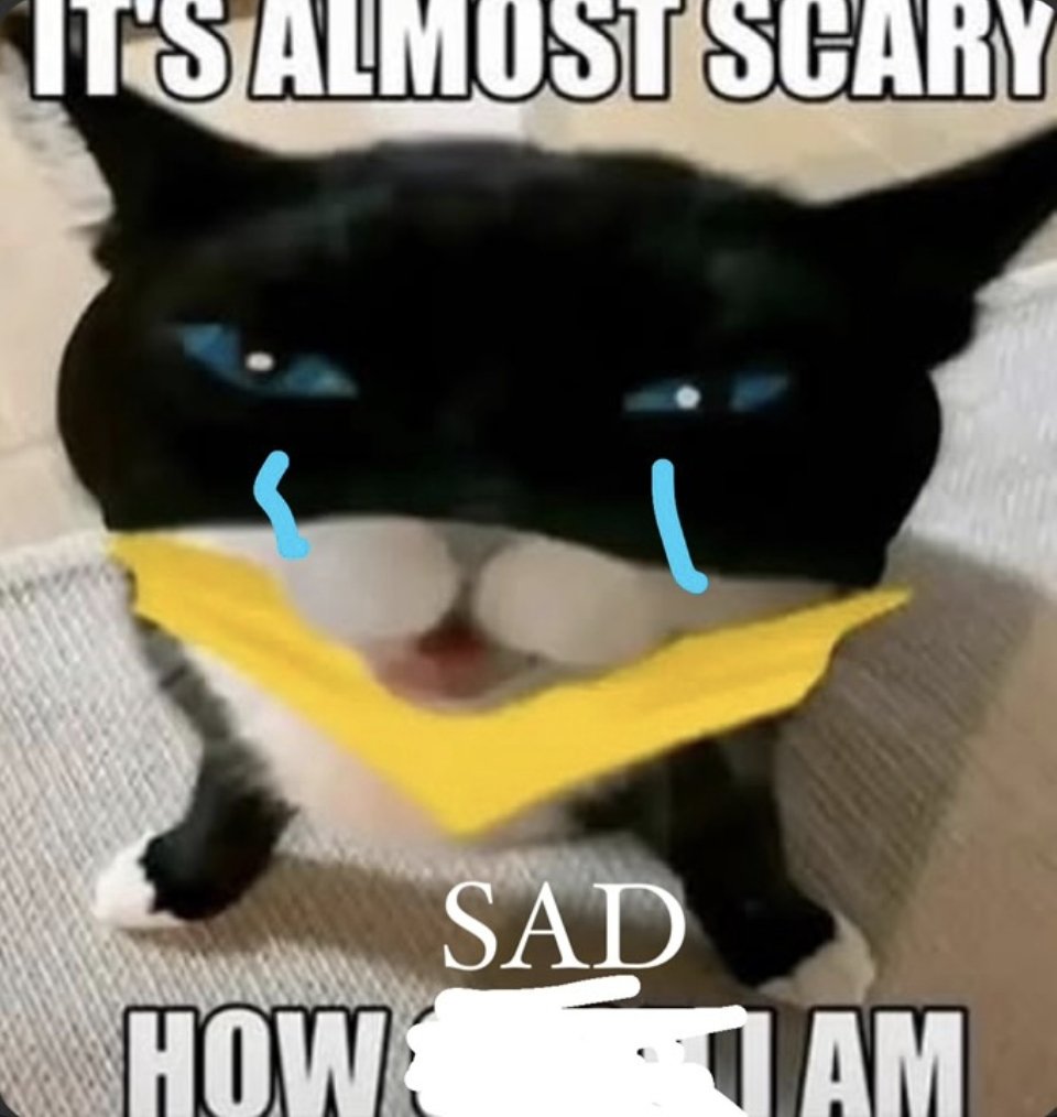 CanundrumGalaxy's tweet photo. @huntertbh64 i expected some pirate gaster or shit bro ngl this made me tear up https://t.co/FqebyNWzHf