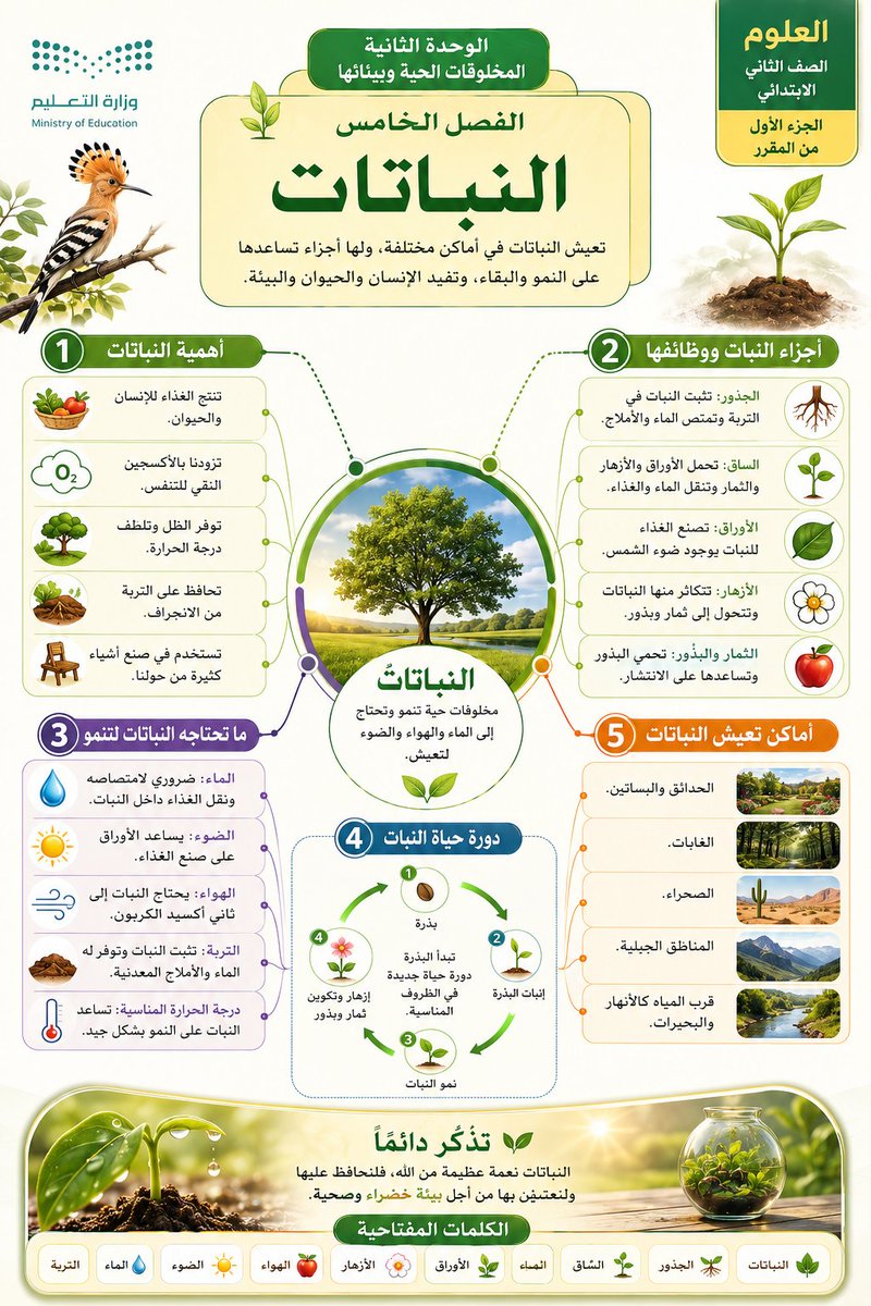 asiltrain76's tweet photo. 📚 قريبًا بإذن الله.

هدية لأبنائنا وبناتنا الطلاب والطالبات.

برومبت ذكي يقرأ أي درس ثم يحوله خلال لحظات إلى خريطة ذهنية احترافية تساعد على الفهم السريع والمراجعة وحفظ الأفكار الأساسية.

لا تذهبوا بعيداً ... 🥇🪙🥇

هذا نموذج من مخرجاته ... ملاحظاتكم للتطوير محل إهتمام 🌹 https://t.co/SmOPmNuLX4