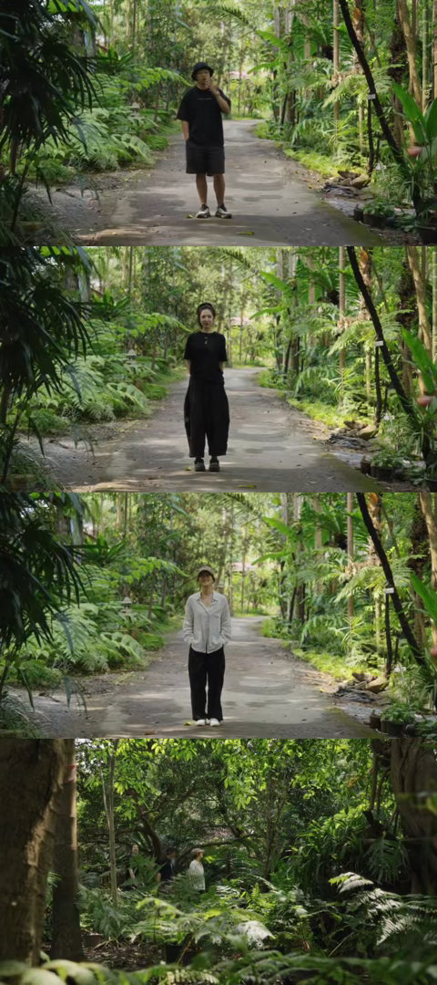 KathleneDoqej3's tweet photo. 今日打卡治愈系慢综！跟着嘉宾撸猫逛老宅，连风都变得慢悠悠的～ https://t.co/p4KUvzLpY1