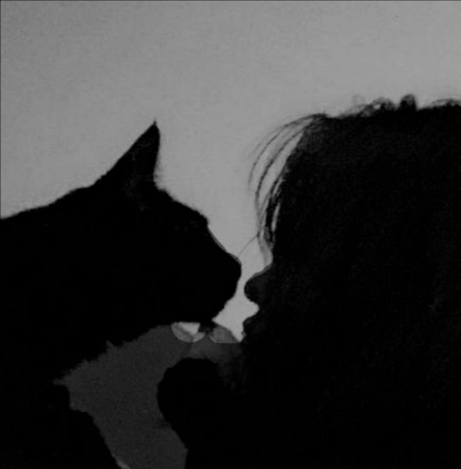 Shinisterx's tweet photo. Old legend says: messy hair in the morning means the 𝘯𝘦𝘬𝘰𝘮𝘶𝘴𝘶𝘮𝘦 spent the whole night stroking and playing with your hair because she likes you. — Guess she likes me a lot. It happens every morning. https://t.co/0GKe0rCL2R