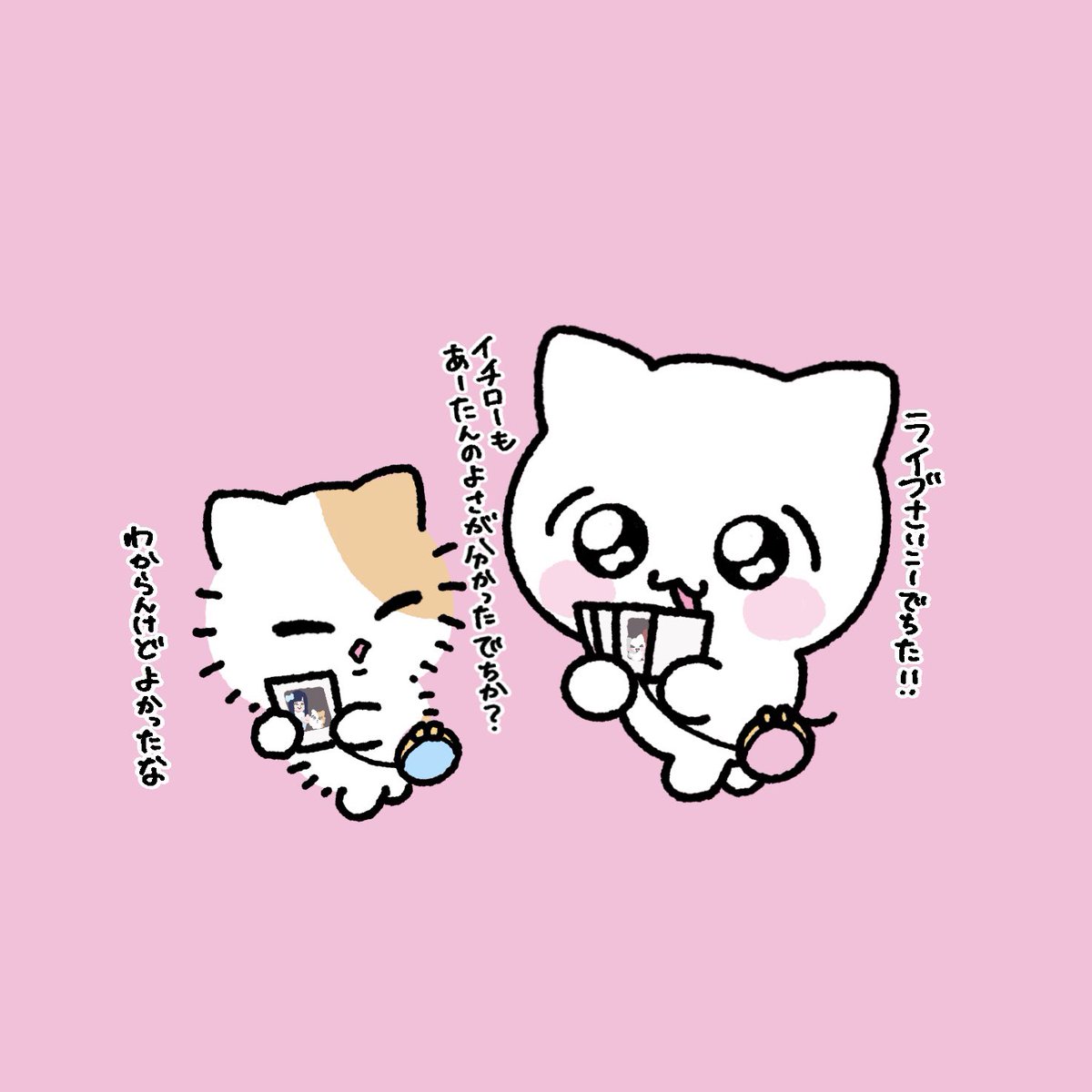 everydaymeechan's tweet photo. 日常 https://t.co/AzoadKsbgO