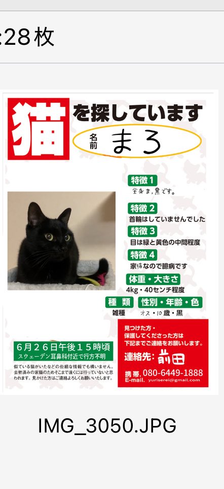 ebHvNOuhNy27087's tweet photo. 🐈‍⬛黒猫（10歳オス去勢済）探してます。

🐱北海道石狩郡当別町
スウェーデンヒルズ辺り

🐱6月末行方不明

#迷い猫
#保護猫
#当別町
#スウェーデンヒルズ https://t.co/vzmZ109ME5