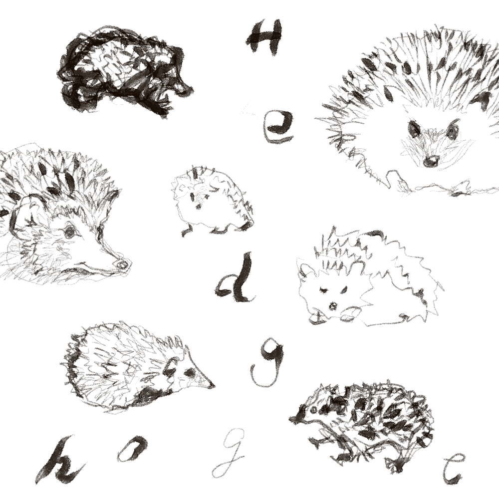 linebyline66's tweet photo. 🦔 https://t.co/PoheFg38B3