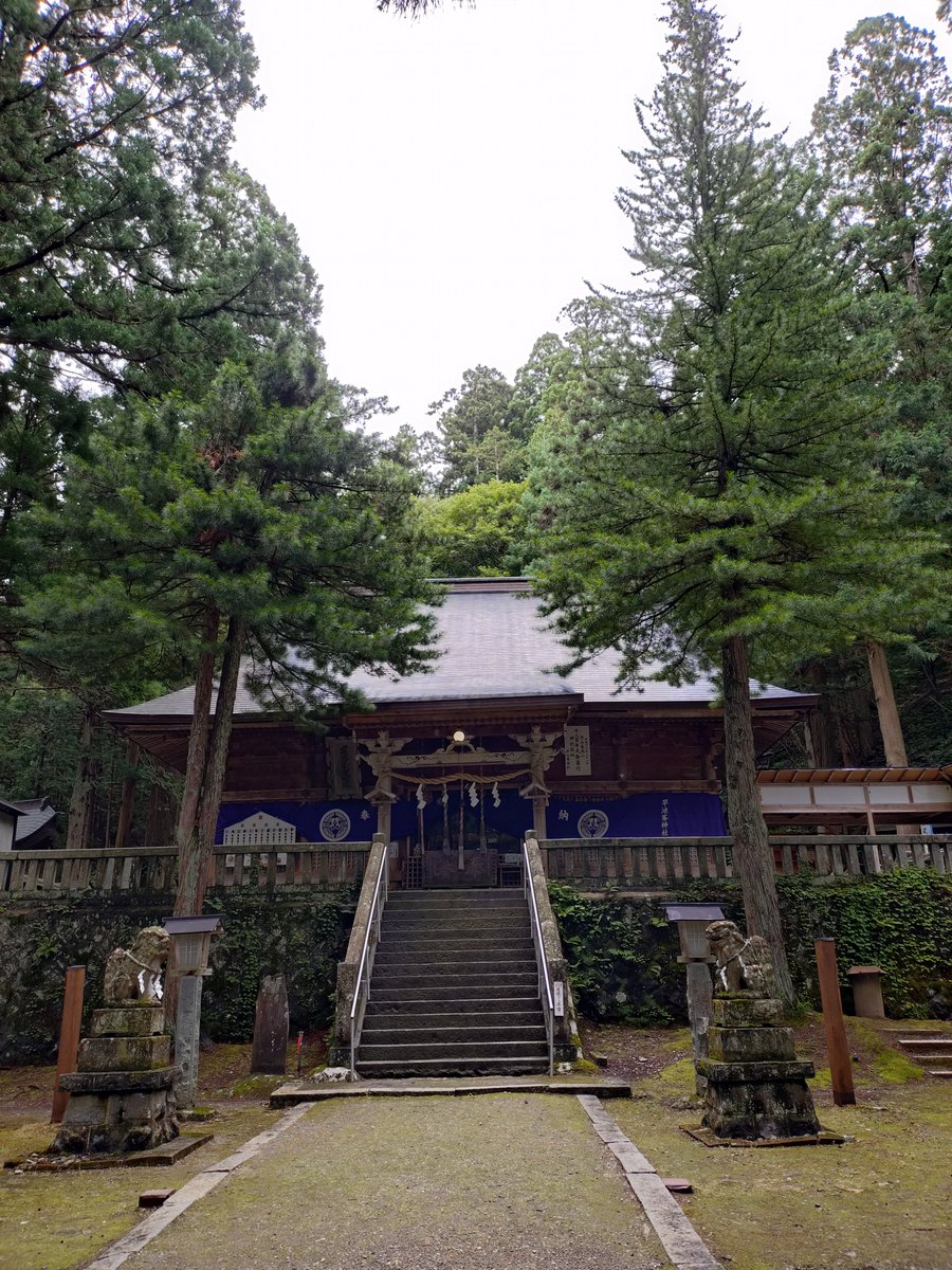 fukukubo's tweet photo. 早池峰神社には「枝垂れ桂」なるものが！
初めて見ました！
桂って枝垂れるのね…！
#枝垂れ桂　#枝垂れ桜　#早池峰神社　#神社仏閣巡り https://t.co/6vU7bHho4E