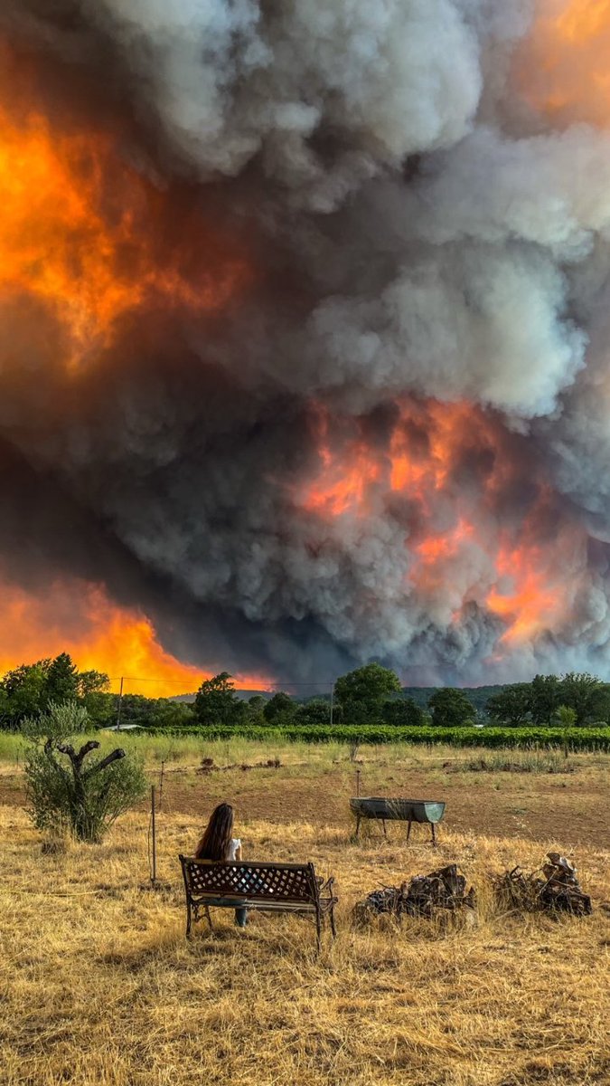 ChartrainOlivi2's tweet photo. Quand je vois le succès (mérité !) des photos de Maximilien Lamy @AFPphoto , je me dis que mon ancienne collègue Claude aurait dû vendre la sienne (prise le 21/07 dans le Var) ! https://t.co/ur7GBDxv76