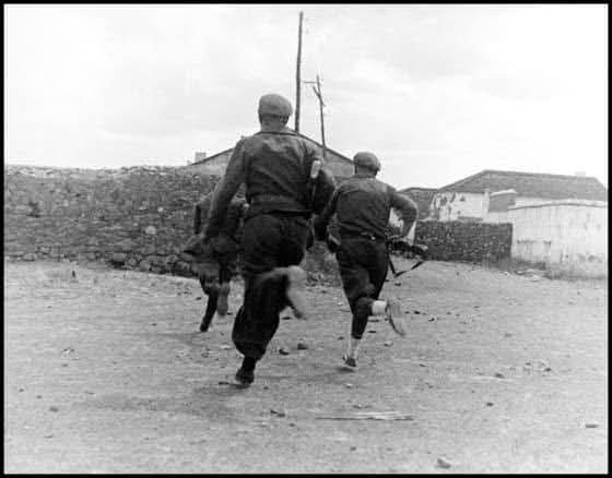 laf_portal's tweet photo. Gerda Taro, φωτογράφος &amp; η 1η γυναίκα πολεμική φωτορεπόρτερ που σκοτώθηκε στην πρώτη γραμμή του μετώπου κατά την διάρκεια φωτορεπορτάζ, στις 26/7/1937 (μάχη στην πόλη Brunete, περίχωρα Μαδρίτης)
Συμμετείχε ενεργά στον αντιφασιστικό αγώνα
*Ακολουθούν φωτογραφίες της
#antireport https://t.co/uaTmDAhbf1
