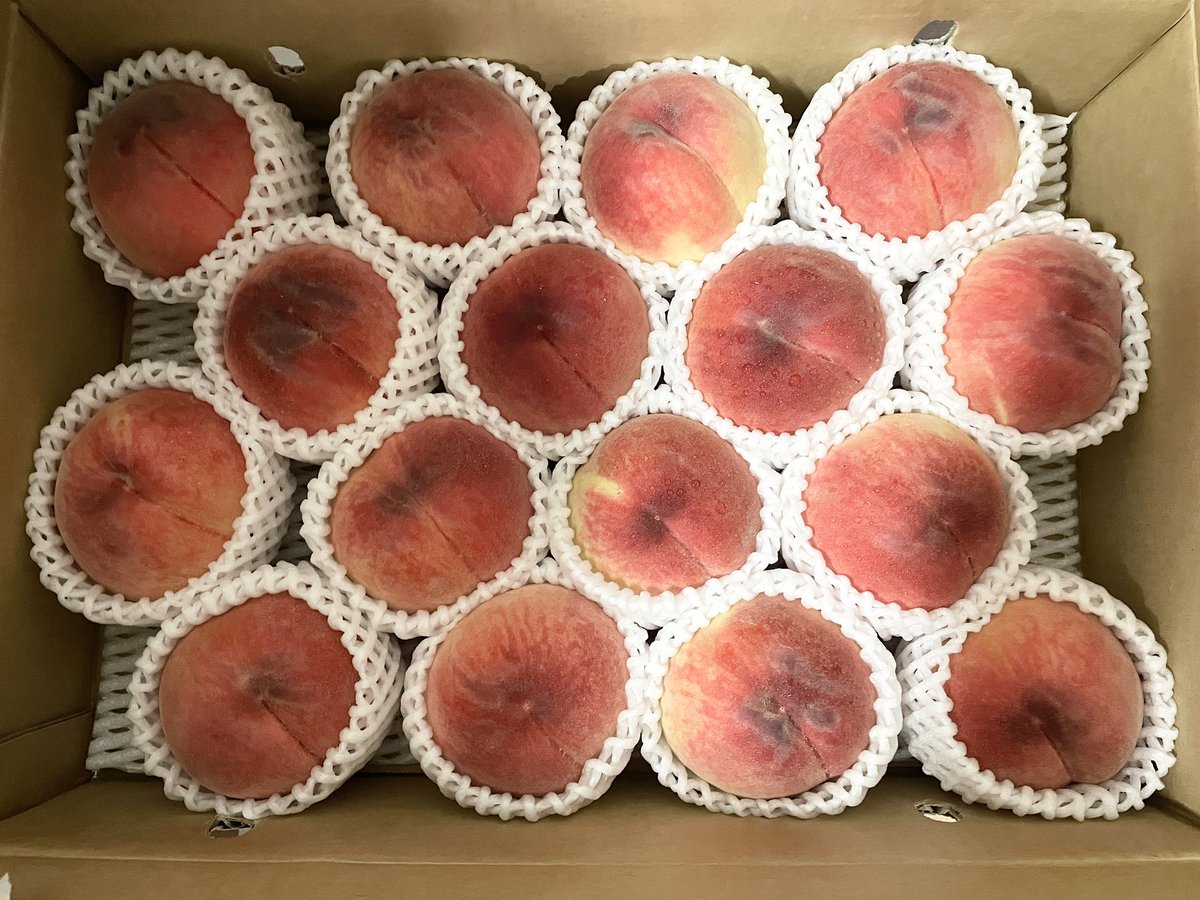 macr_maca's tweet photo. 届いた🍑🍑🍑
地元民だけど知らなかったアルミホイル包み、やるか… https://t.co/RZ5KwcpVBD