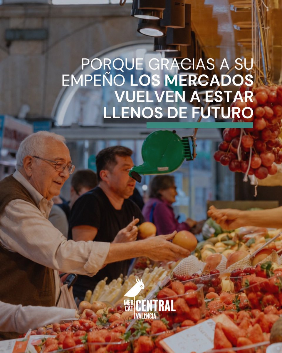 MCentralVlc's tweet photo. ¡Feliz Día Mundial de los Abuelos!
Porque son quienes nos enseñaron a comprar con calma, a preguntar, a elegir bien y a entender el valor de cada producto.

Gracias por por seguir recordándonos que el futuro del mercado también se construye con todo lo que nos habéis enseñado. https://t.co/YaPRaYrl7T