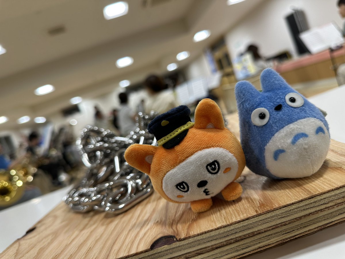 EbinaWind's tweet photo. こんにちは🌞

昨日は激しい雷雨と打楽器の積み込みのタイミングがしっかり被ってしまい、色々と大変でした…⛈️

そんな足元が超超悪い中、フルート＆ピッコロパートへ見学者が来て下さいました😭
ありがとうございます😭
（お久しぶりのぬいぐるみ見学者も🚃🌱）

#えびすい #吹奏楽 #海老名 https://t.co/X1OKp9wnPH